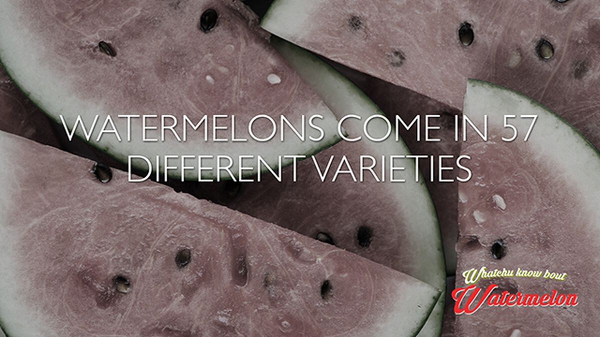 Whatchu Know Bout Watermelon? (August 3rd, National Watermelon Day) image number null