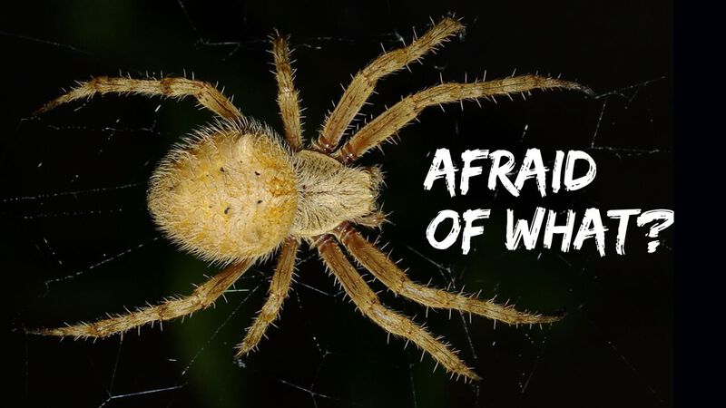 Afraid Of What?