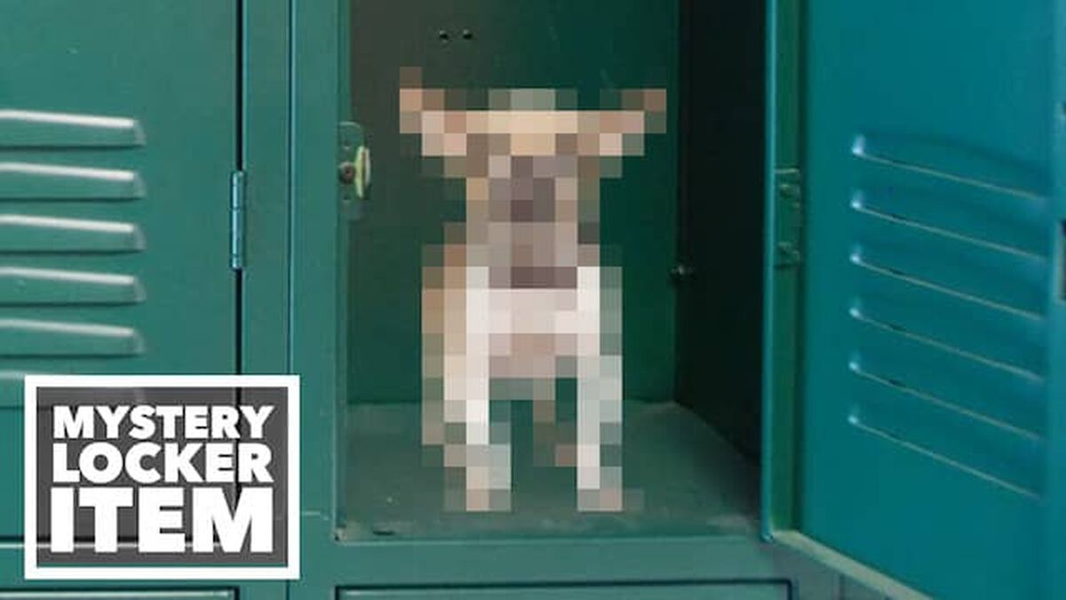 Mystery Locker Item: Volume 2 image number null