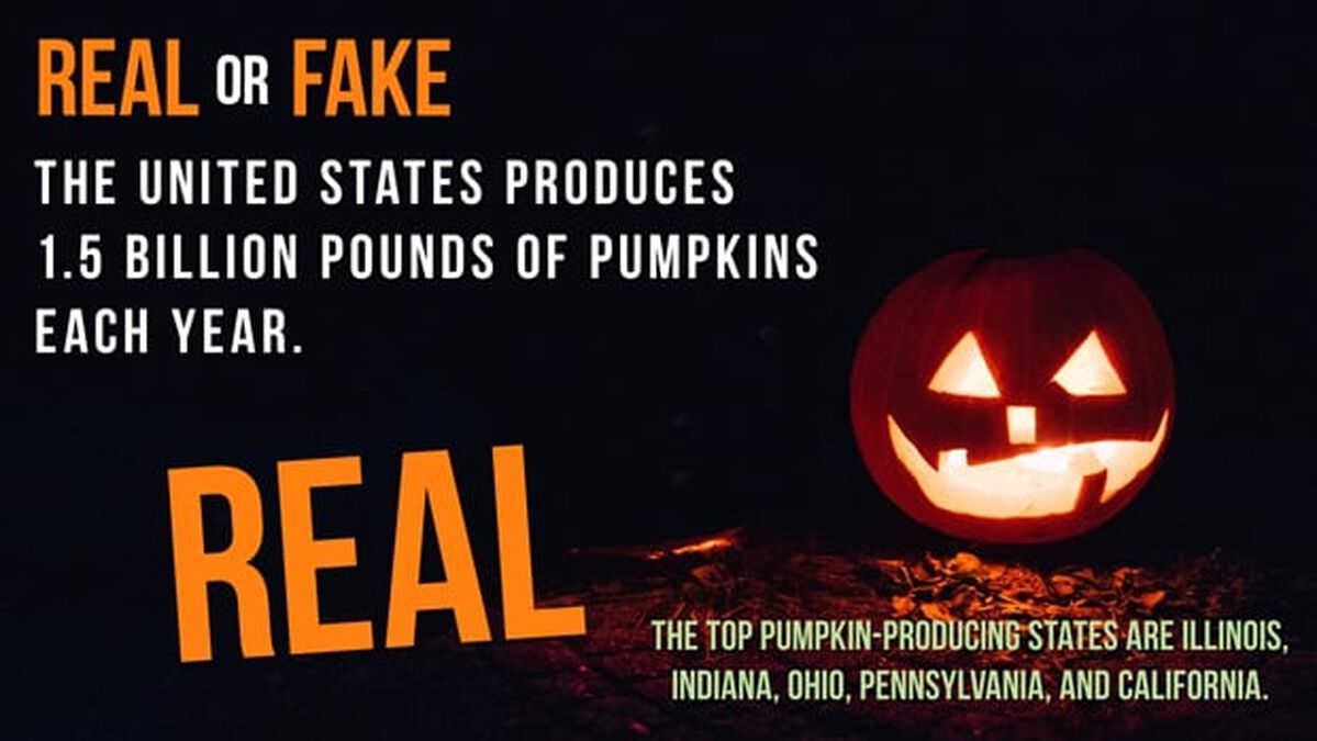 Real or Fake: Halloween Edition image number null