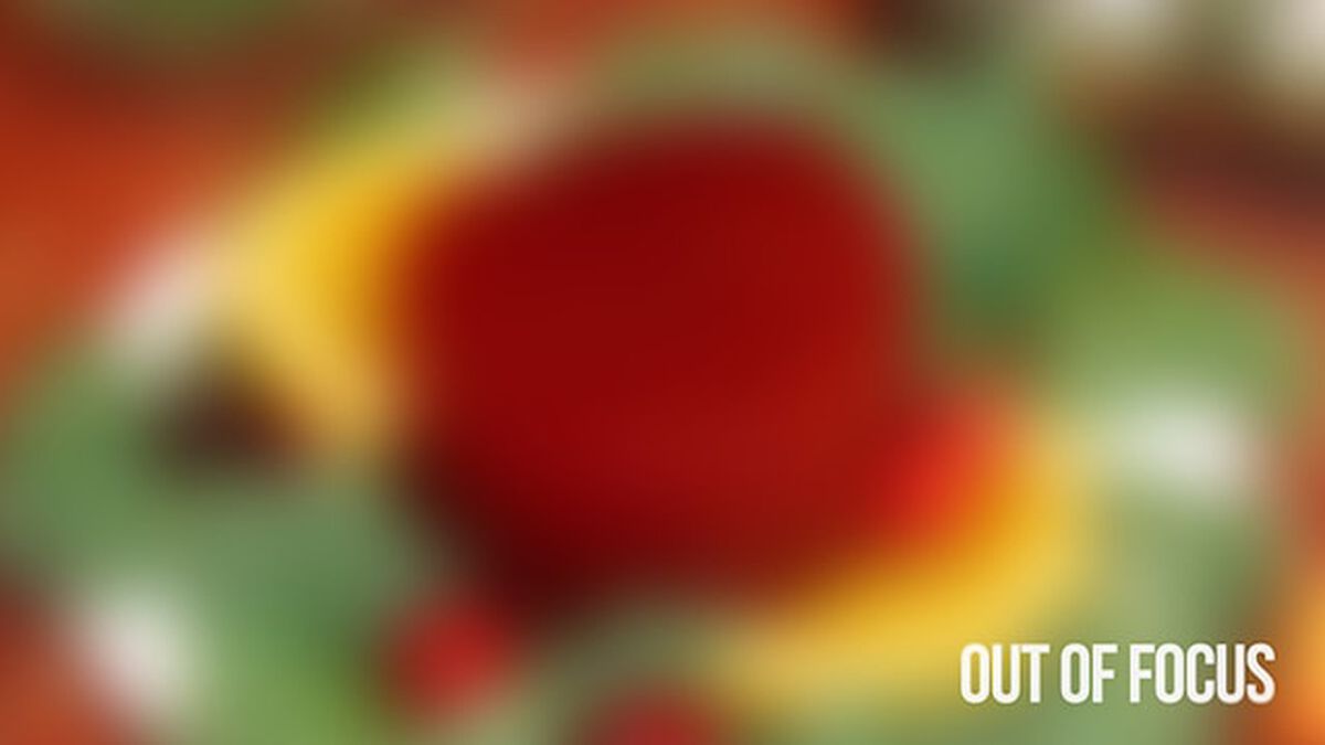 Out of Focus: Thanksgiving Edition image number null