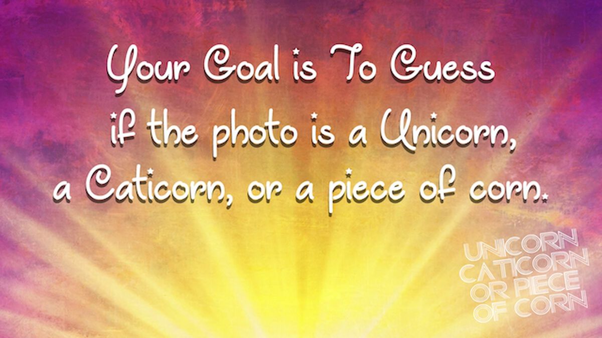 Unicorn, Caticorn, or Piece of Corn? image number null