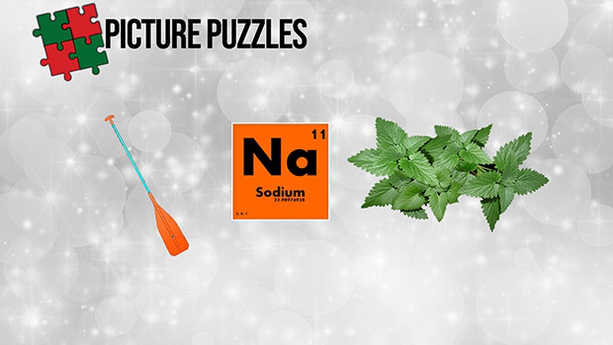 Picture Puzzles Christmas Edition image number null