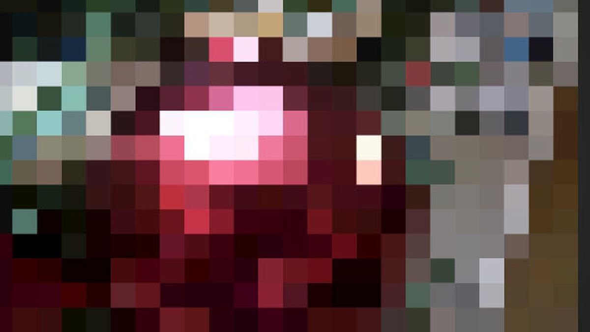 Ornament or Fruitcake image number null