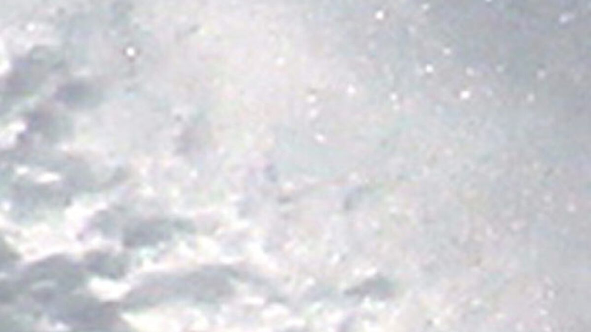 White Cap or White Out image number null