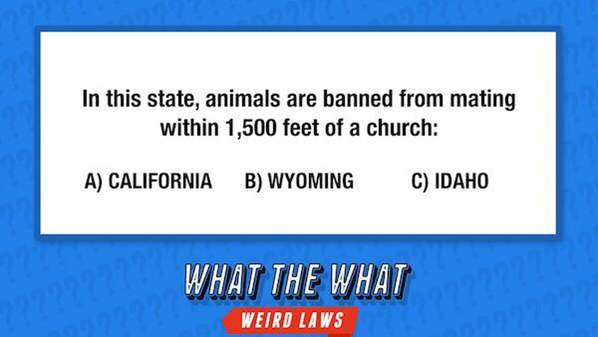 What the What? (Weird Laws) image number null