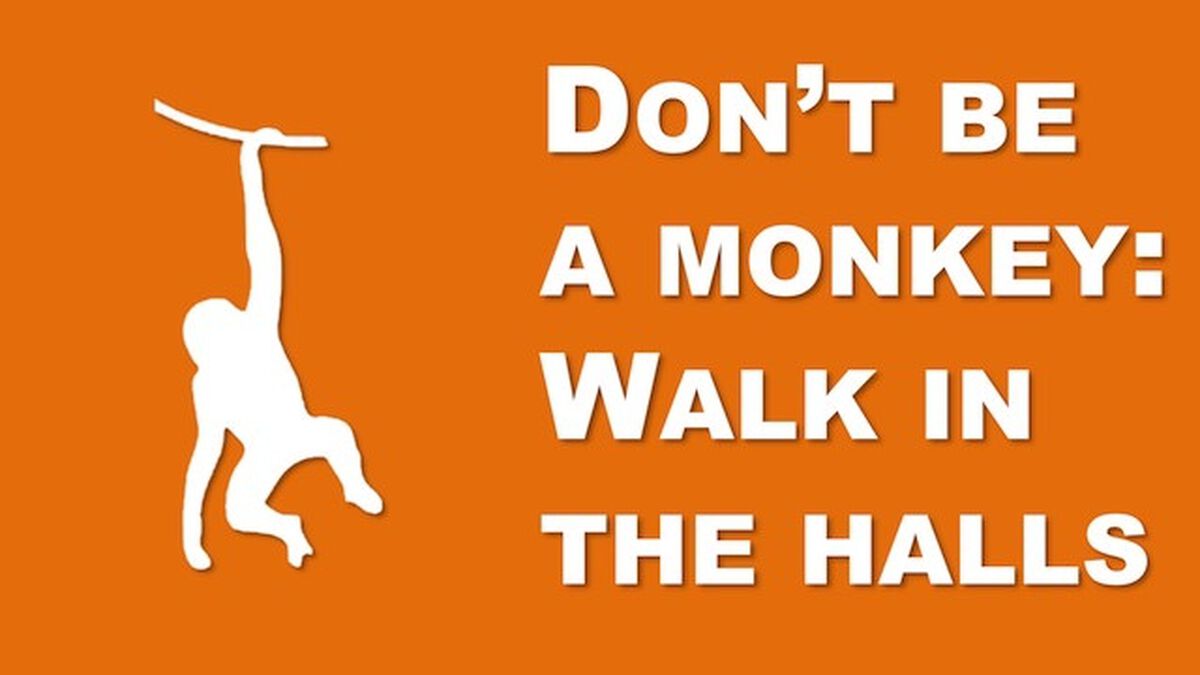 Don't Be a Monkey Rule Videos image number null