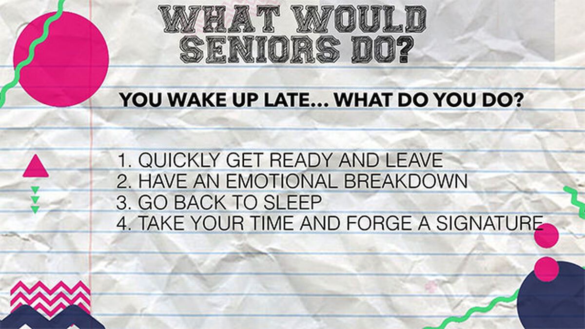 What Would Seniors Do? image number null