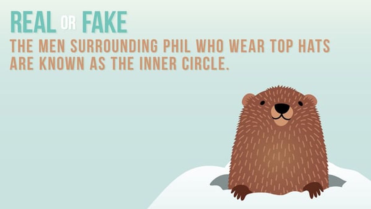 REAL OR FAKE: Groundhog Day Edition image number null