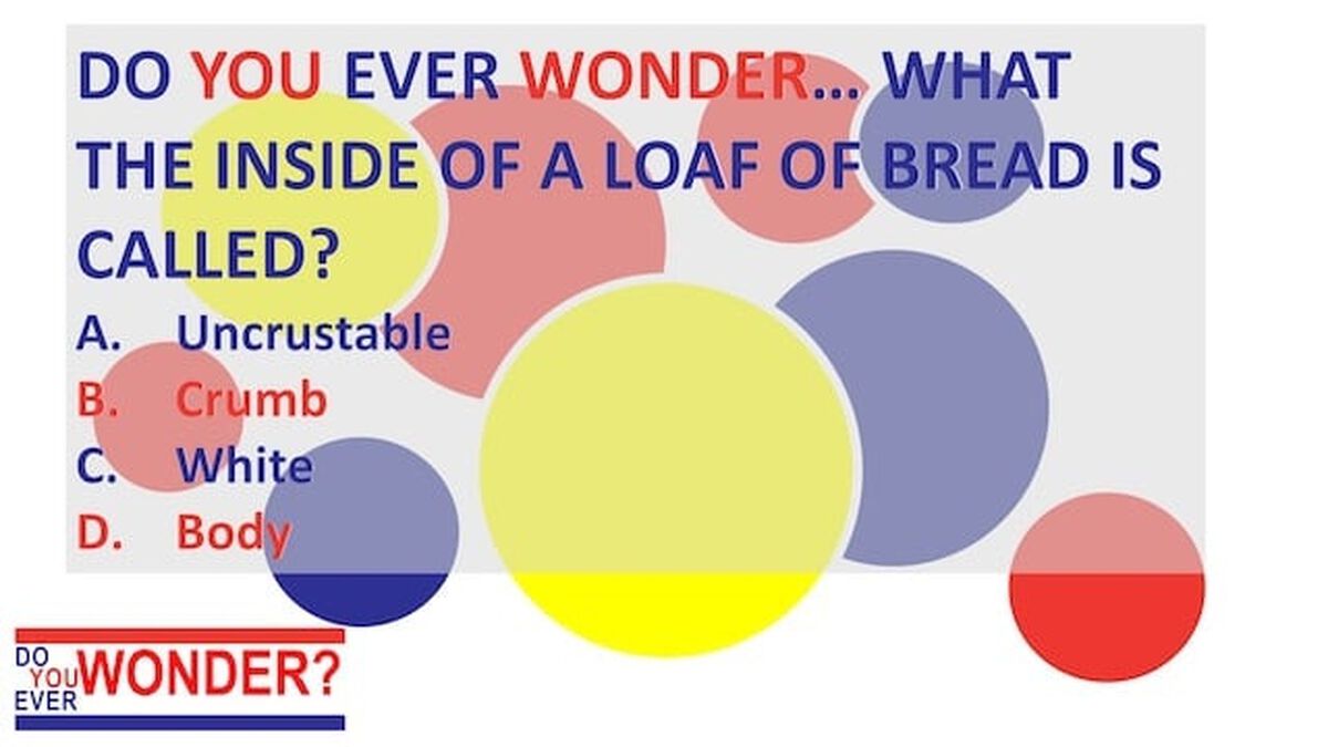 Do You Ever Wonder Bread Trivia image number null