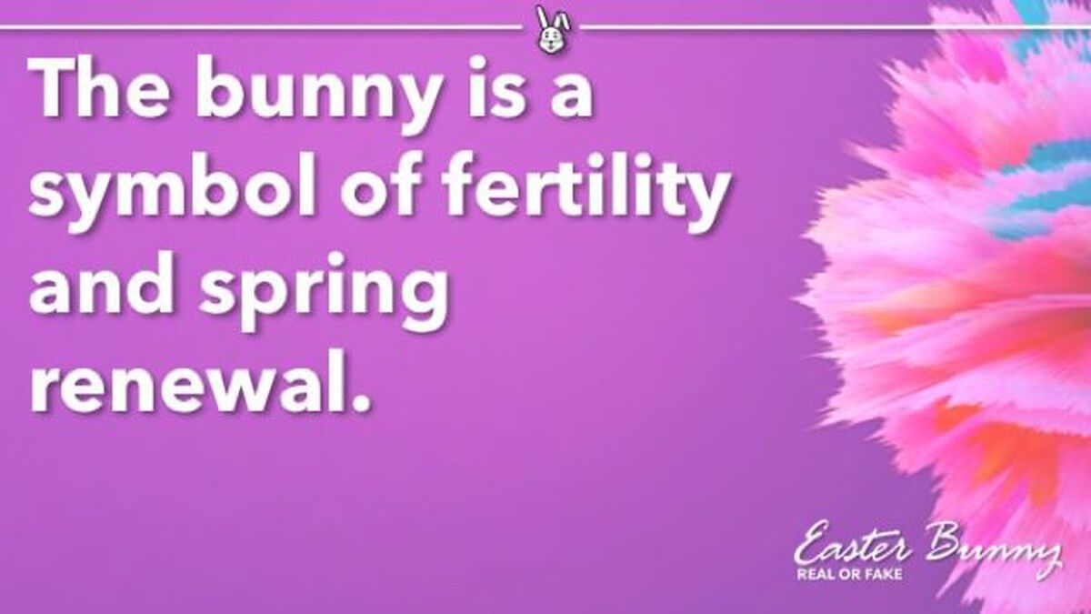 Real or Fake: Easter Bunny Edition image number null