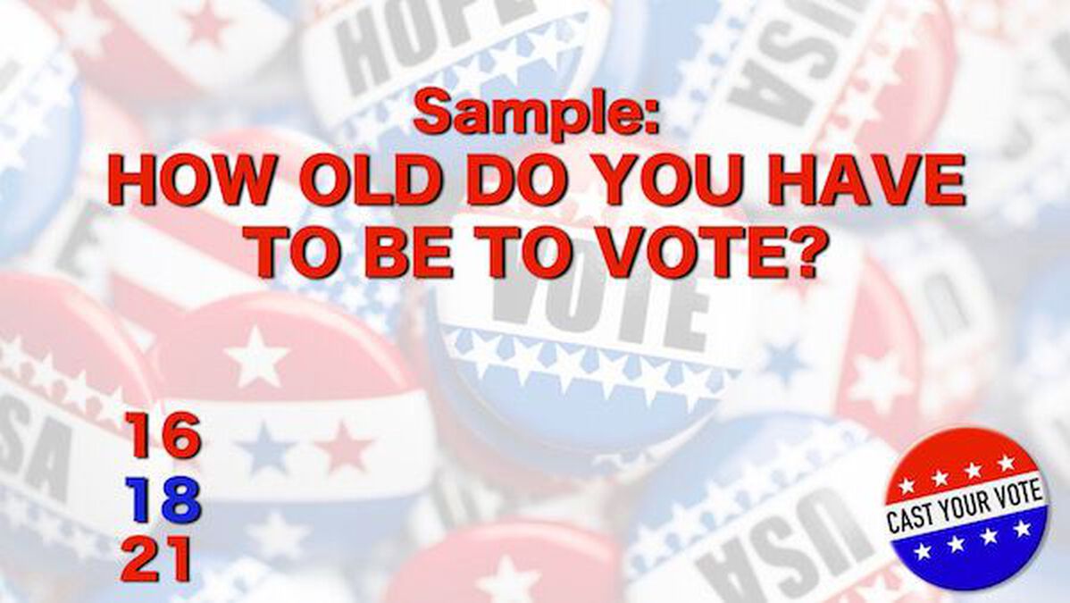 Cast Your Vote image number null