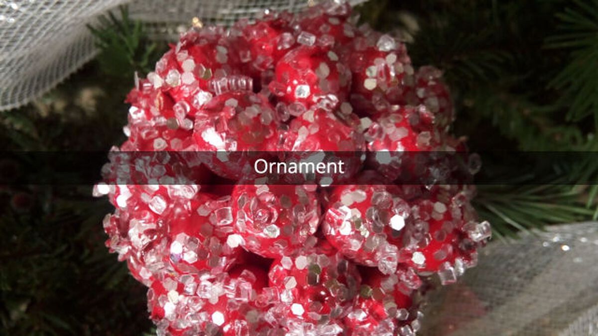 Ornament or Fruitcake image number null