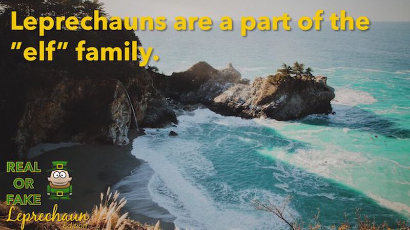 Real or Fake: Leprechaun Edition
