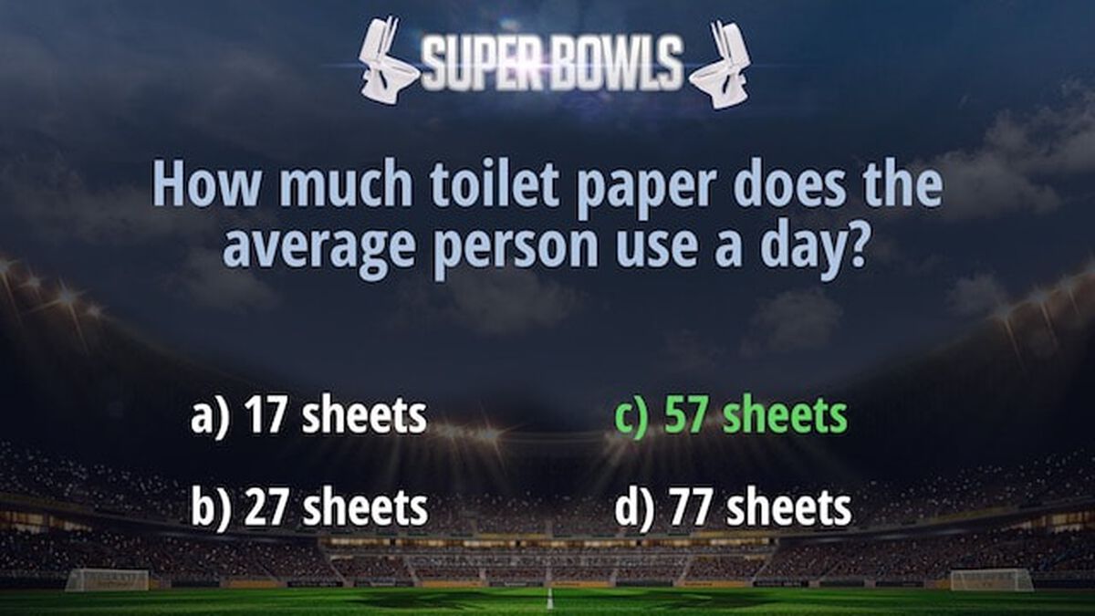 Super Bowls: The History of the Toilet image number null