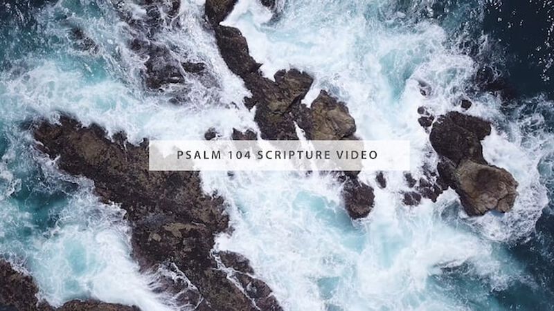 Psalm 104 Scripture Video