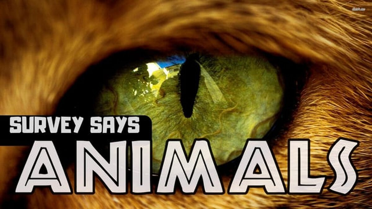 Survey Says Animals image number null