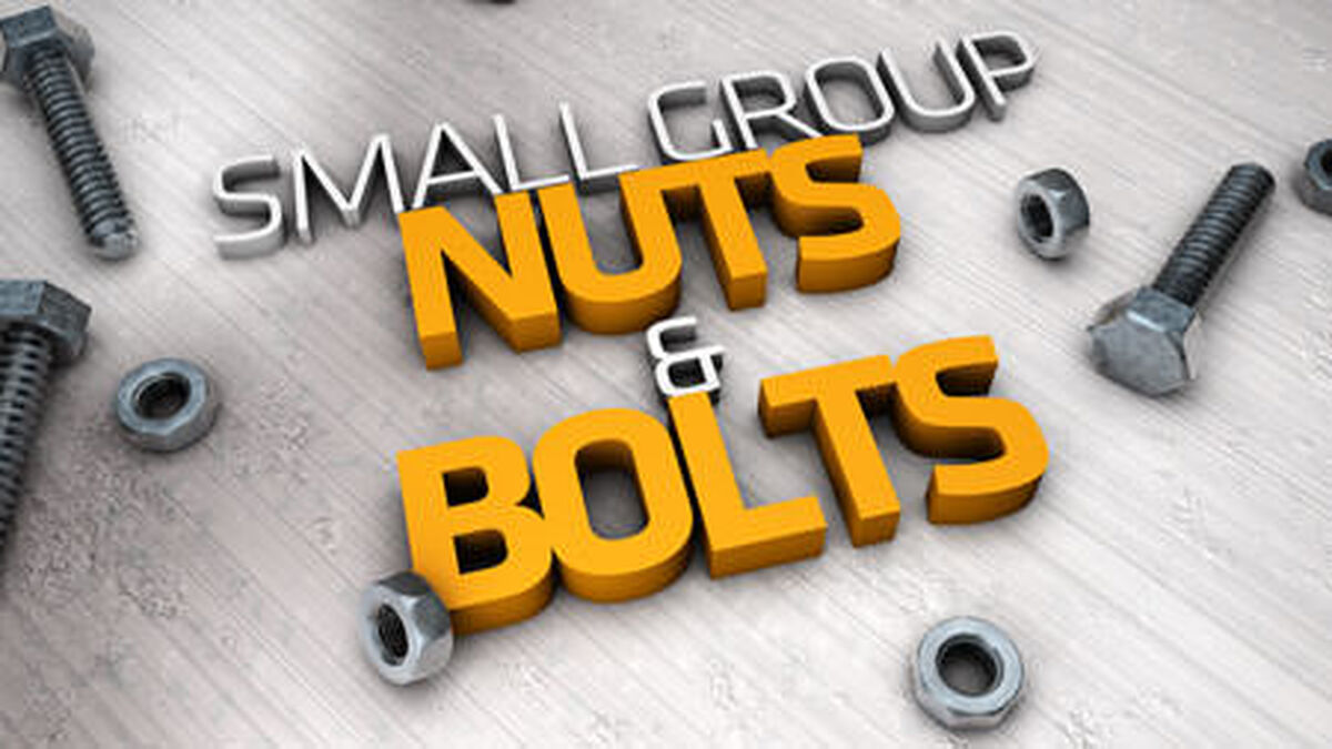 Small Groups Nuts and Bolts image number null