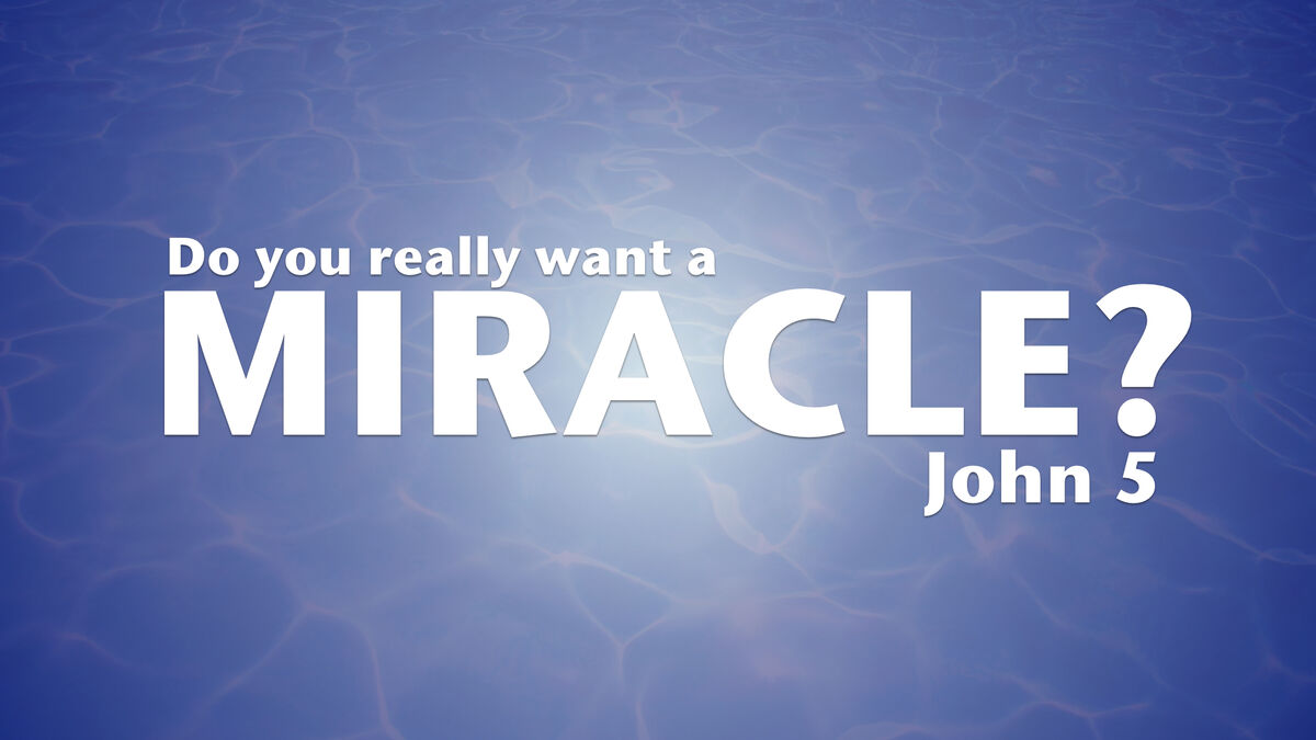 Do You Really Want a Miracle? image number null