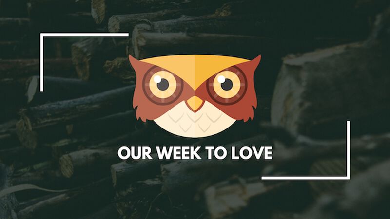 Our Week to Love (OWL)