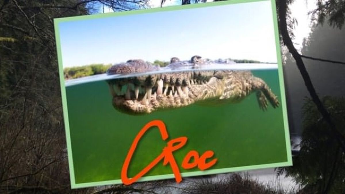 Croc or Gator image number null