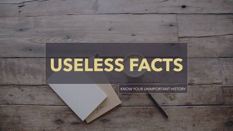 Useless Facts