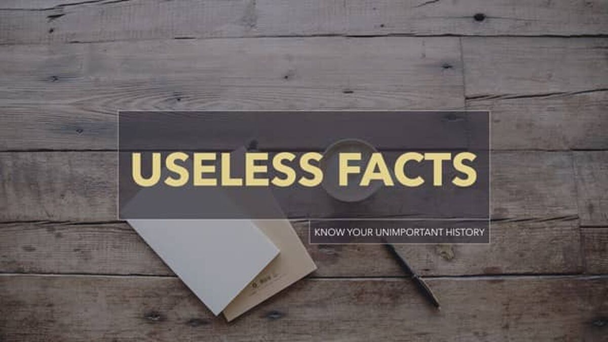 Useless Facts image number null