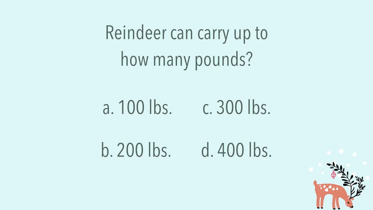 Reindeer Trivia image number null