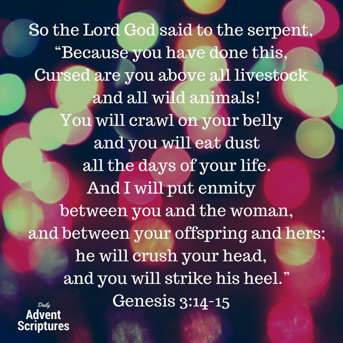 Daily Advent Scripture - Volume II [Social Media  Package] image number null