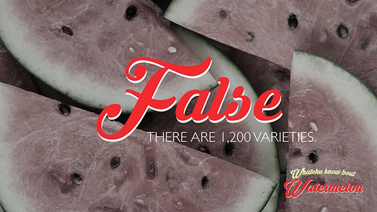 Whatchu Know Bout Watermelon? (August 3rd, National Watermelon Day) image number null