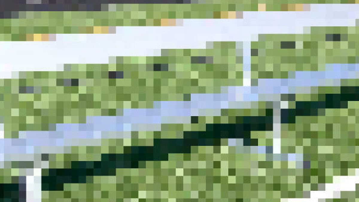 Sportsball Bundle of 5 image number null