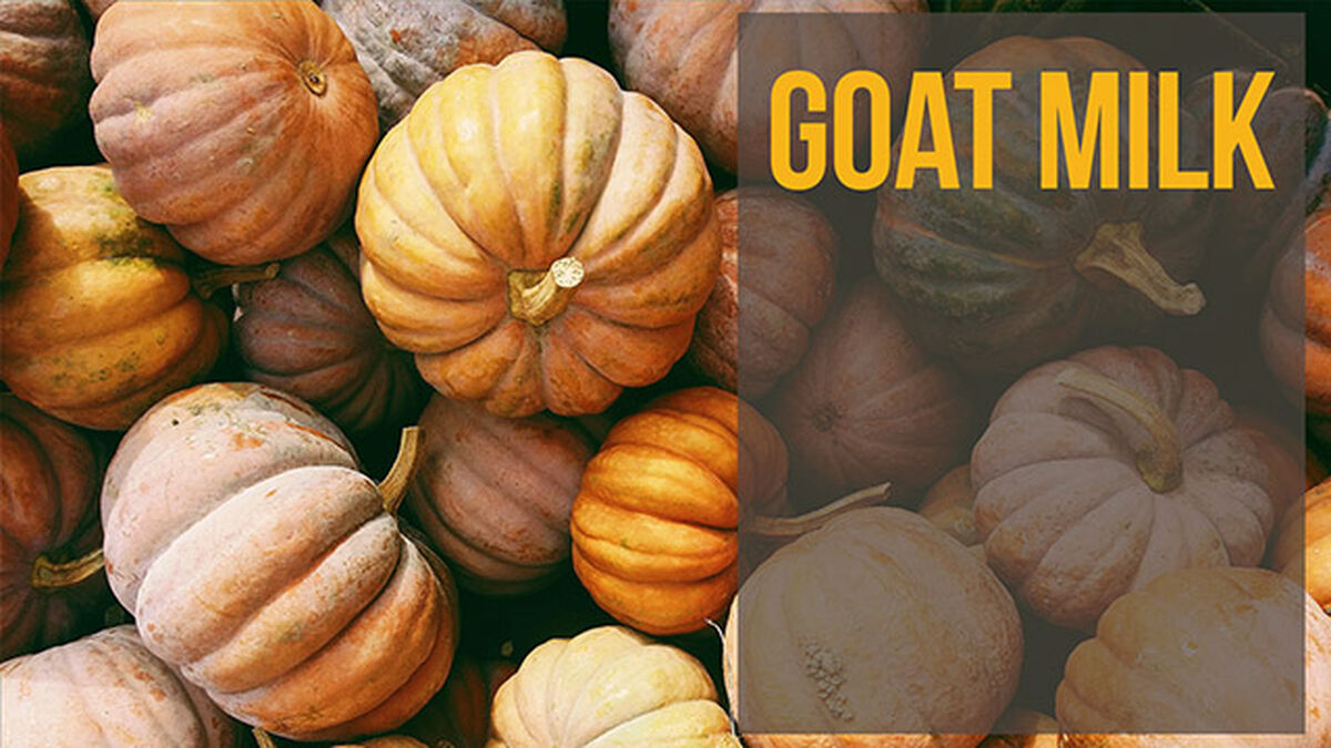 Did They Pumpkin Spice It? Volume 6 image number null