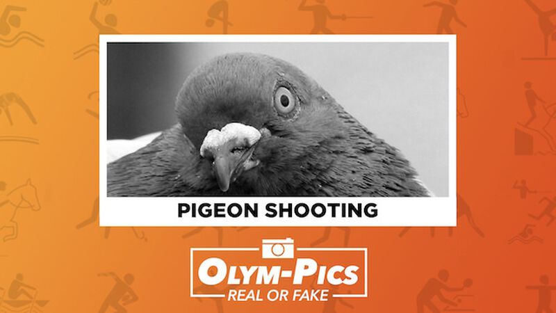 Olym-Pics: Real or Fake