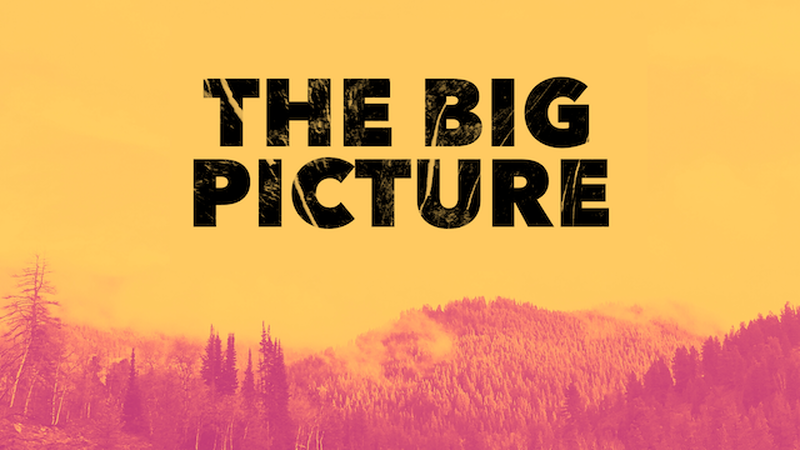 The Big Picture