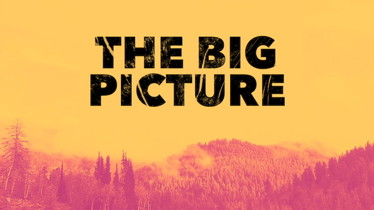 The Big Picture image number null
