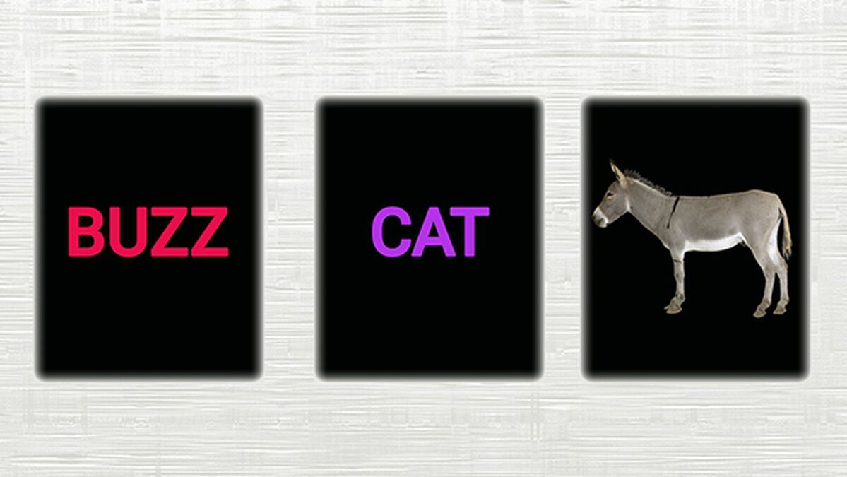 Animal Call-Out image number null