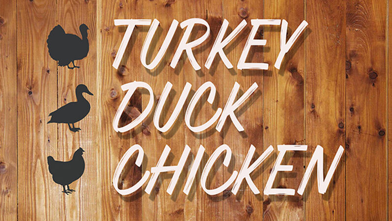 Turkey Duck Chicken
