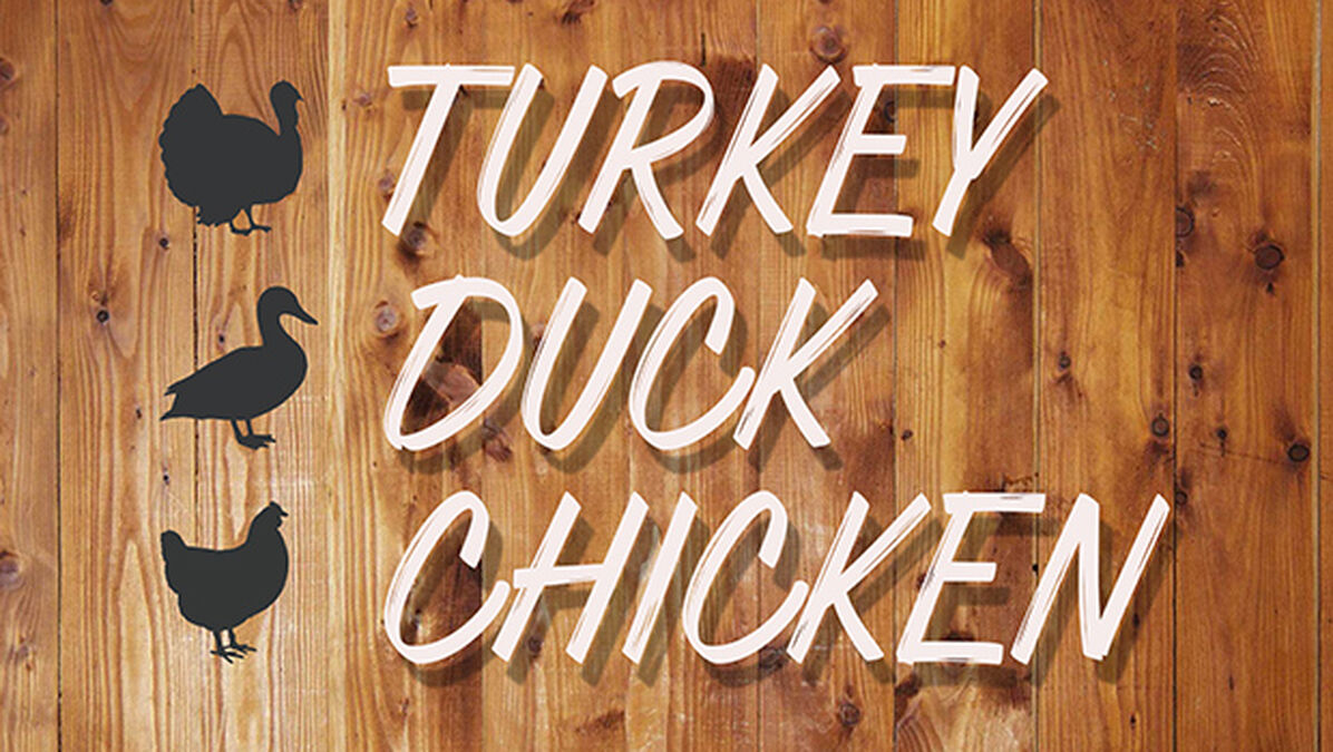 Turkey Duck Chicken image number null