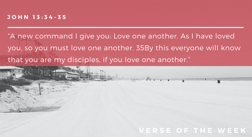 Verse of the Week: Summer Edition