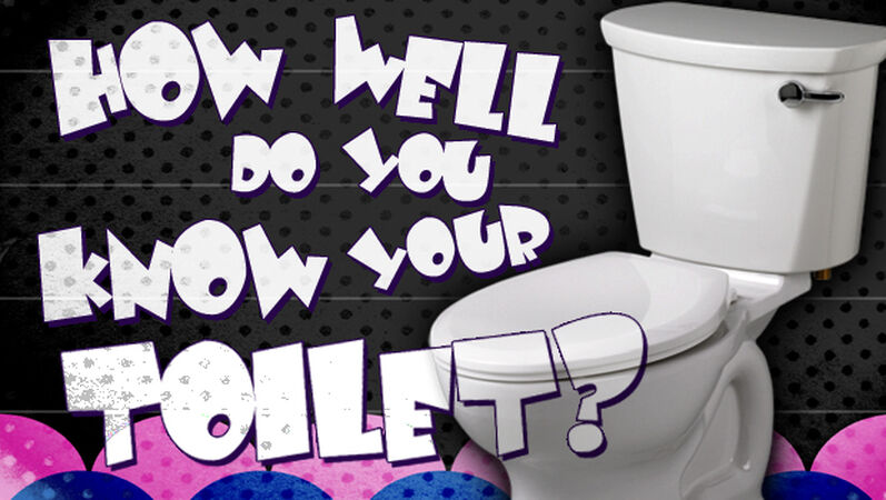 Toilet Trivia Game
