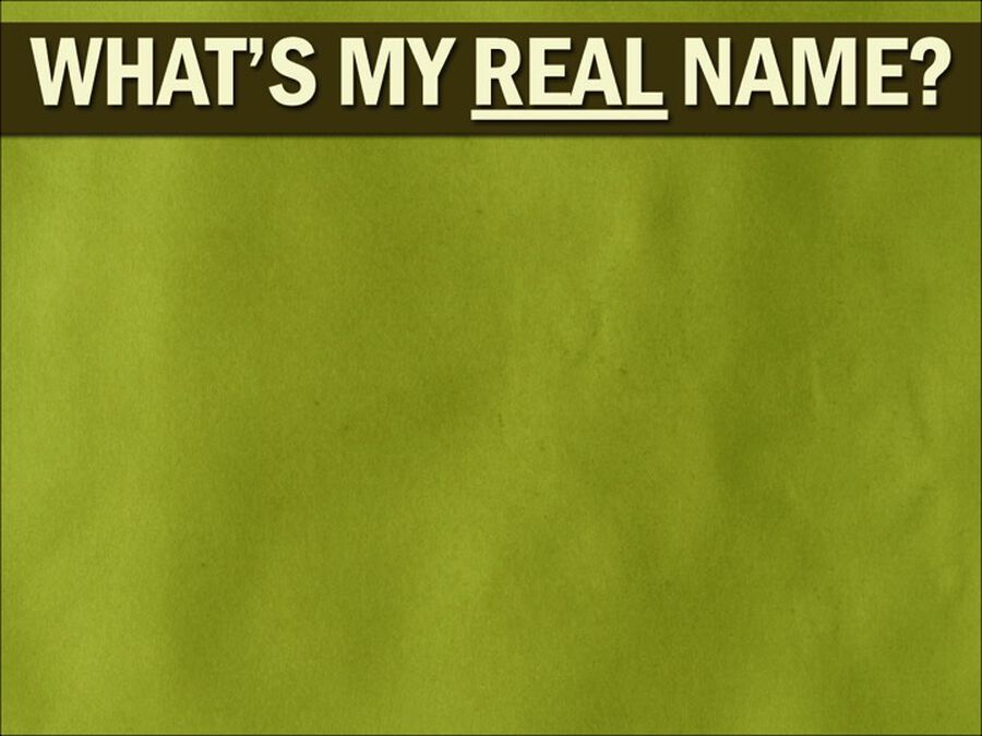 What's My Real Name? Volume 1 image number null