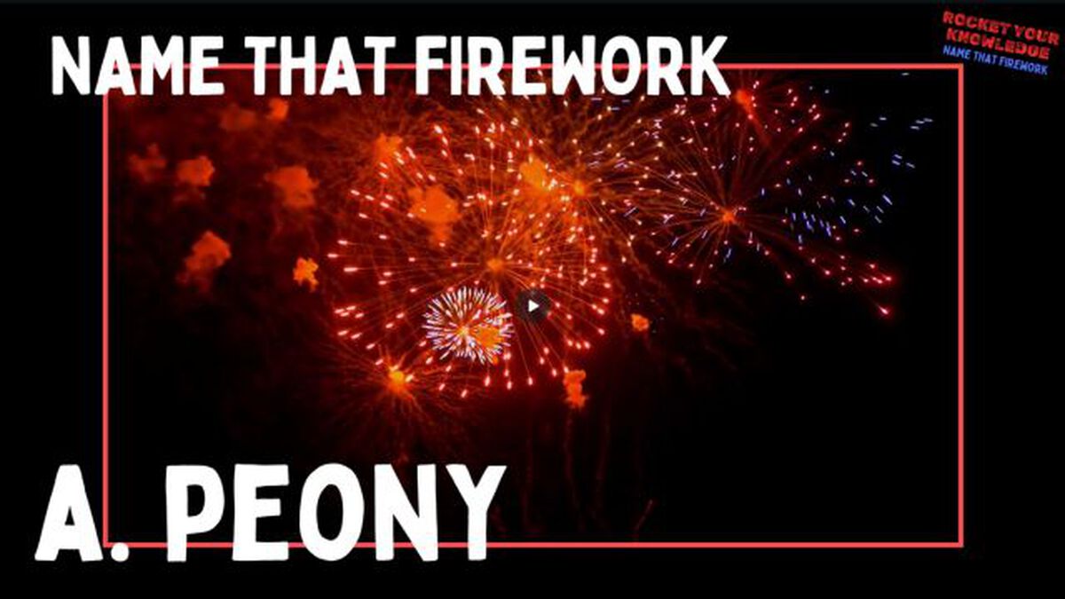 Rocket Your Knowledge - Name That Firework image number null