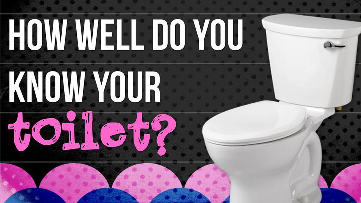 Toilet Trivia Game image number null