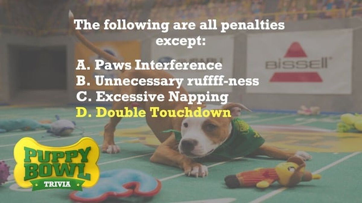 Puppy Bowl Trivia image number null