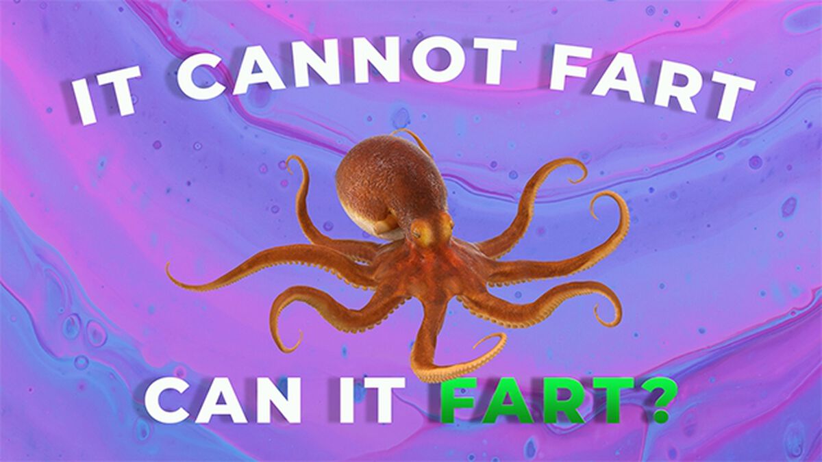 Can It Fart Number 2 image number null