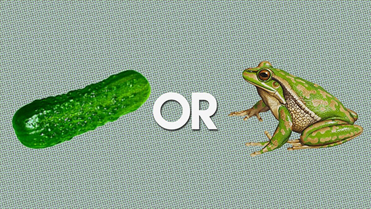 Pickle Or Frog? (November 14th, National Pickle Day)  image number null
