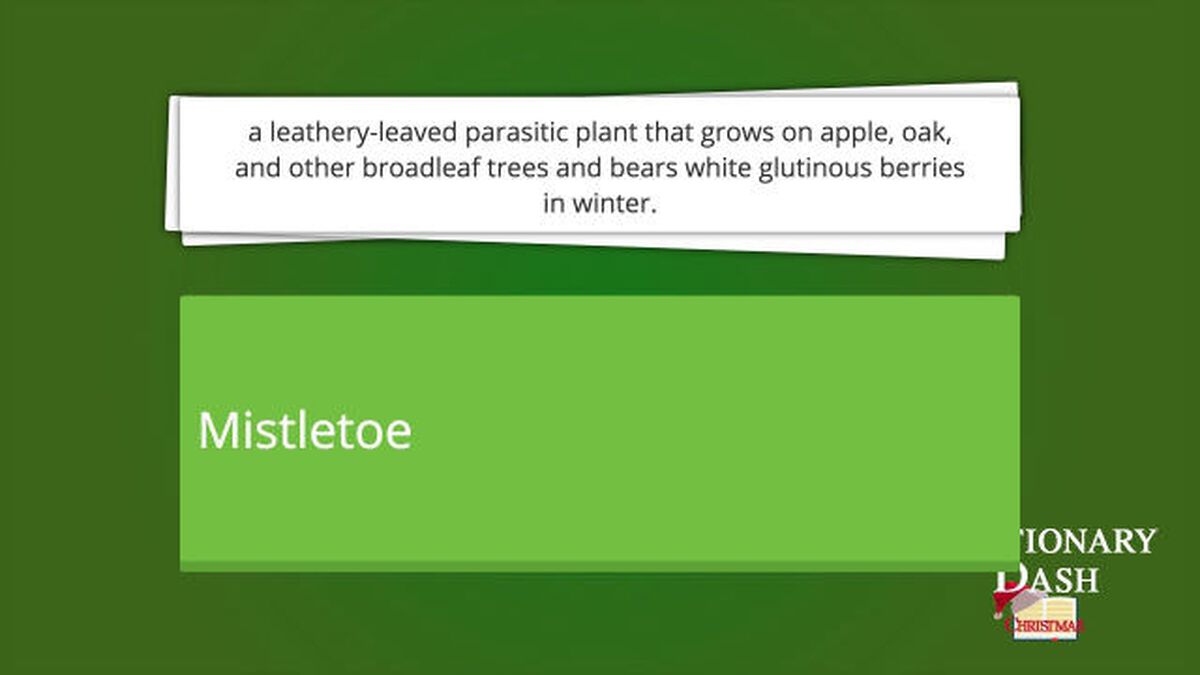 Dictionary Dash – Christmas Edition image number null
