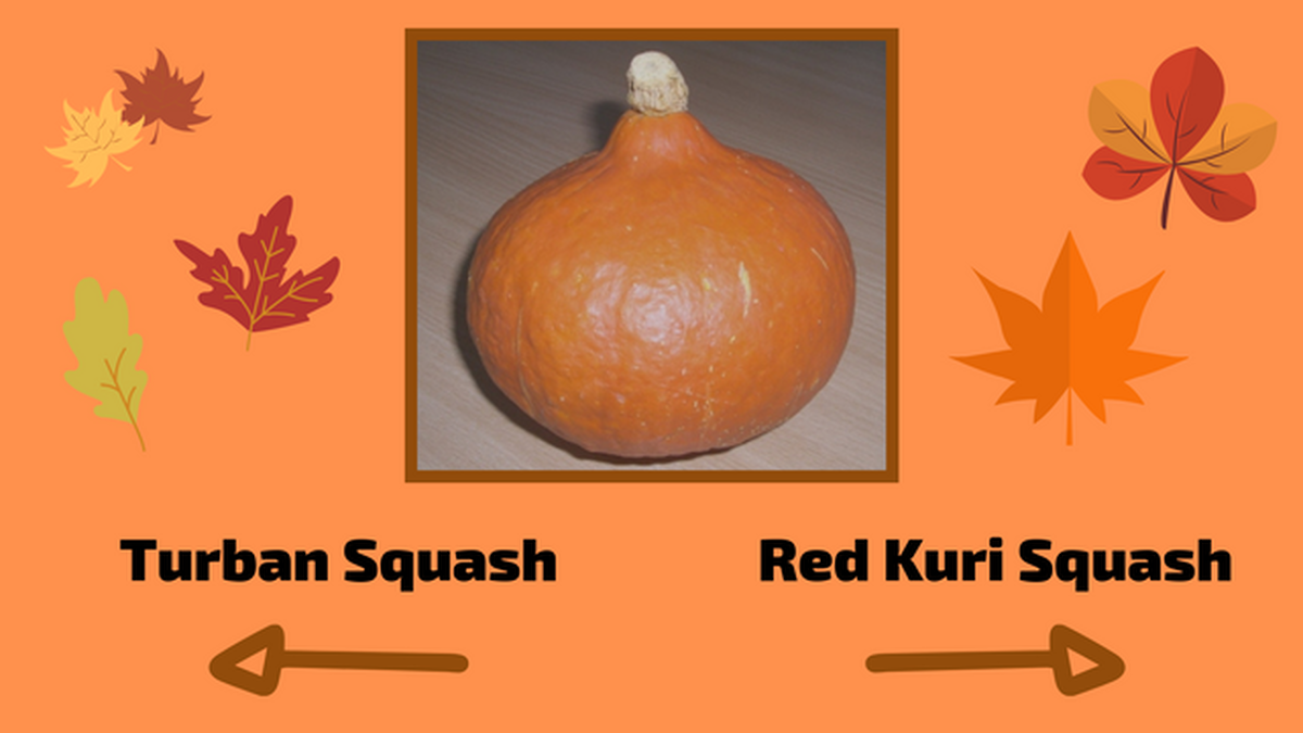 Are You Good with Gourds? image number null