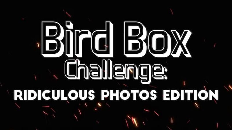 Bird Box Challenge: Ridiculous Photos Edition