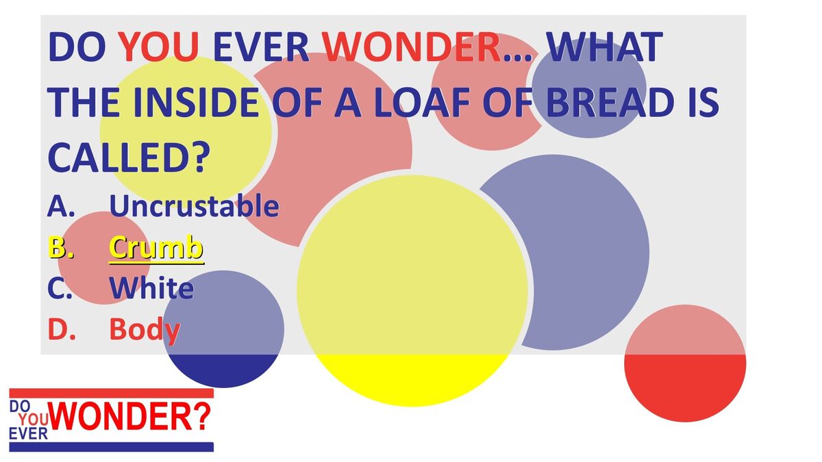 Do You Ever Wonder Bread Trivia image number null